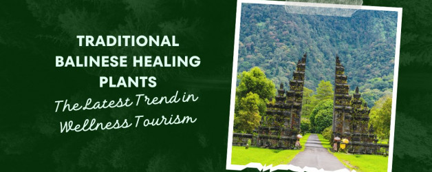 Traditional Balinese Healing Plants: The Latest Trend in Wellness Tourism