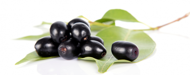 Unveiling the Power of Black Plum (Jamun): A Potent Ayurvedic Herb and Fruit
