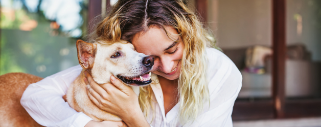 A Tale of Healing and Sustainable Luxury for Your Furry Friends