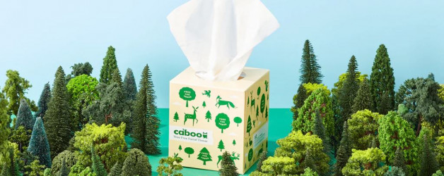 Caboo: A Brand That Puts Sustainability First