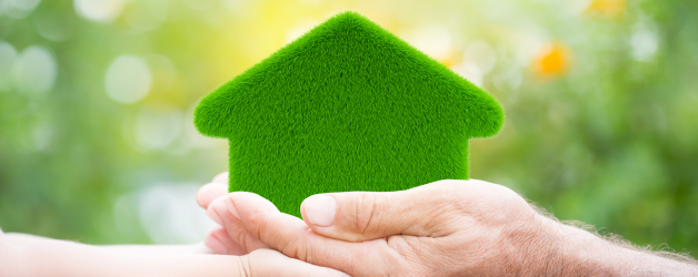 Sustainable Home Renovations: 5 Essential Considerations for Lasting Eco-Friendly Decor